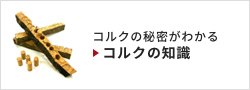 コルクの秘密がわかる　コルクの知識