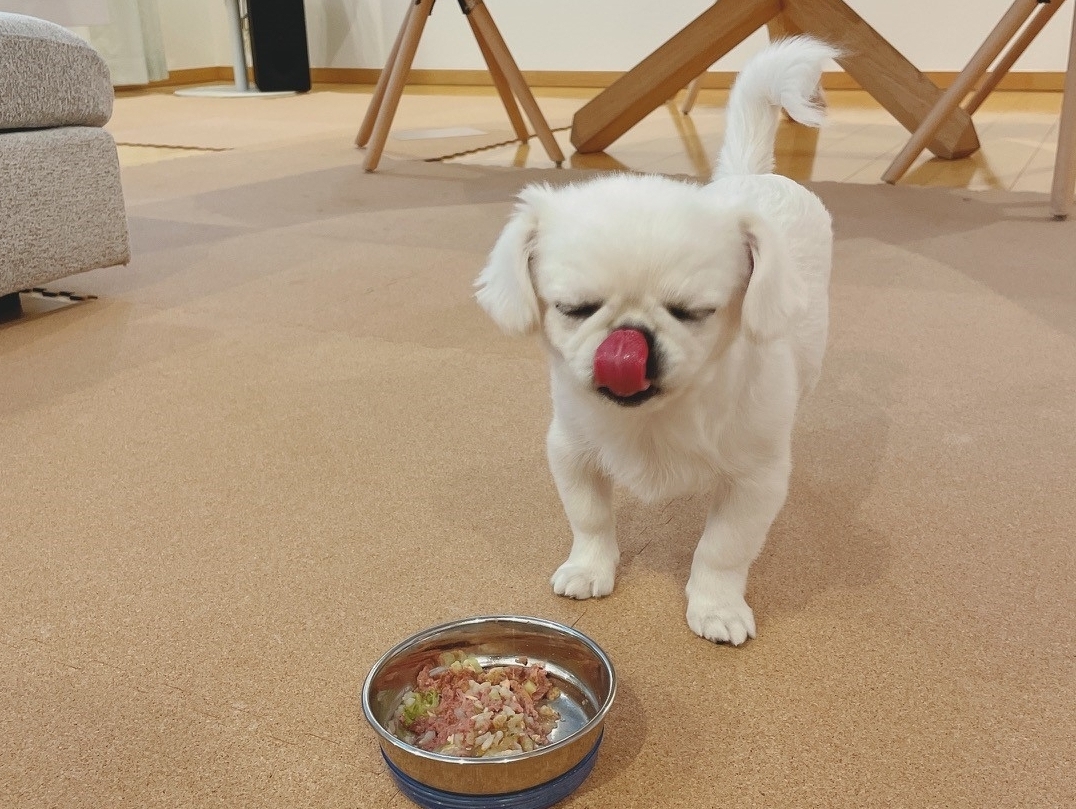 犬用滑り止めコルクマット 犬目線で開発した日本製コルクマット 老舗国産コルクメーカー 永柳工業株式会社