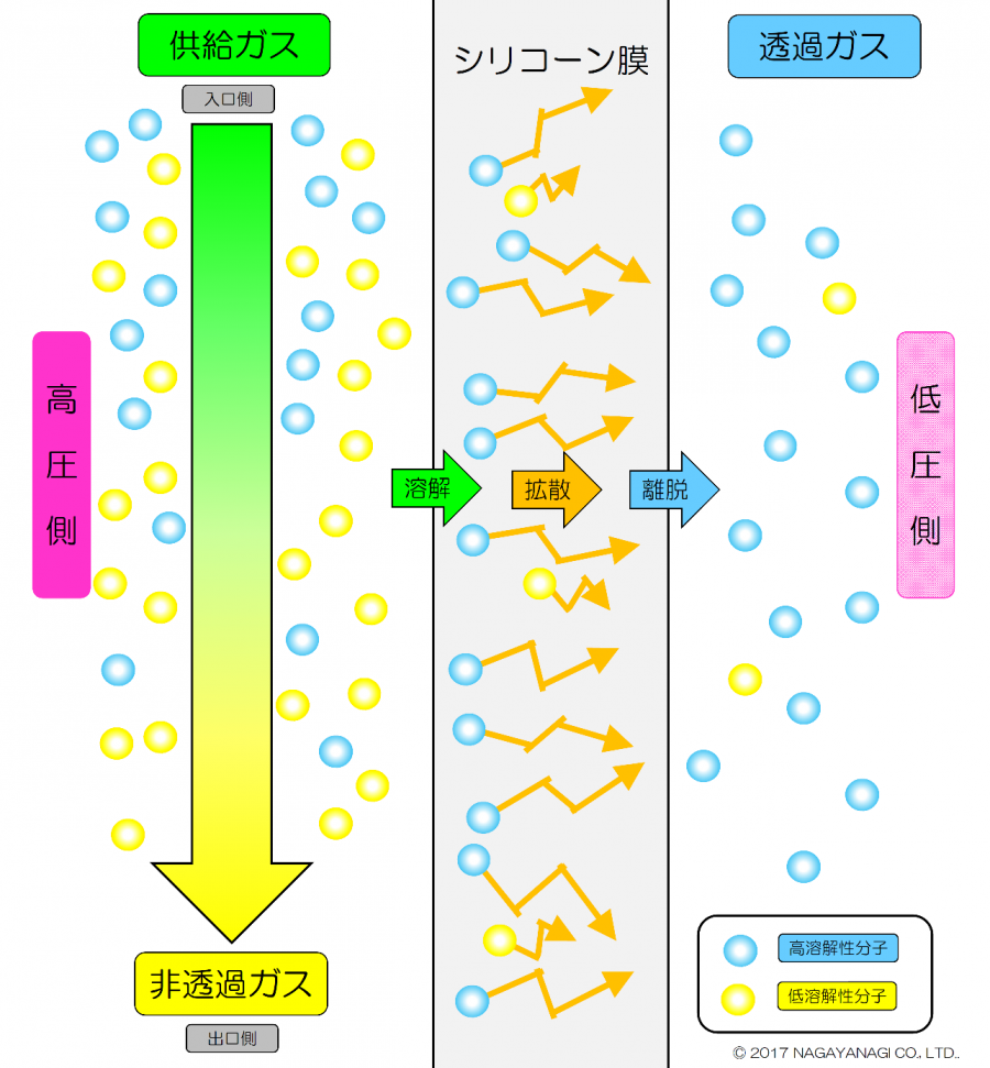 ナガセップの特徴